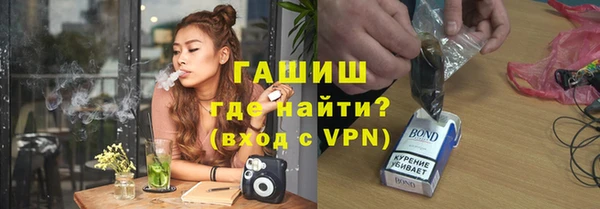 хмурый Магас