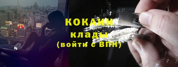 хмурый Магас