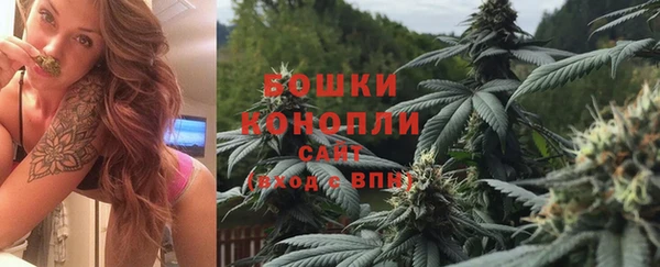 индика Магадан