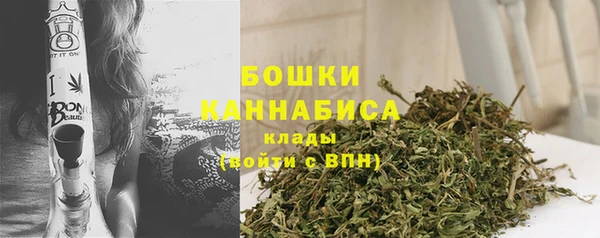 индика Магадан