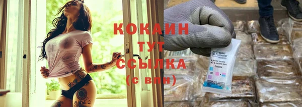 индика Магадан