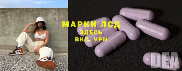 хмурый Магас