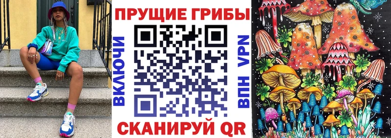 закладка  Белорецк  Галлюциногенные грибы мицелий 