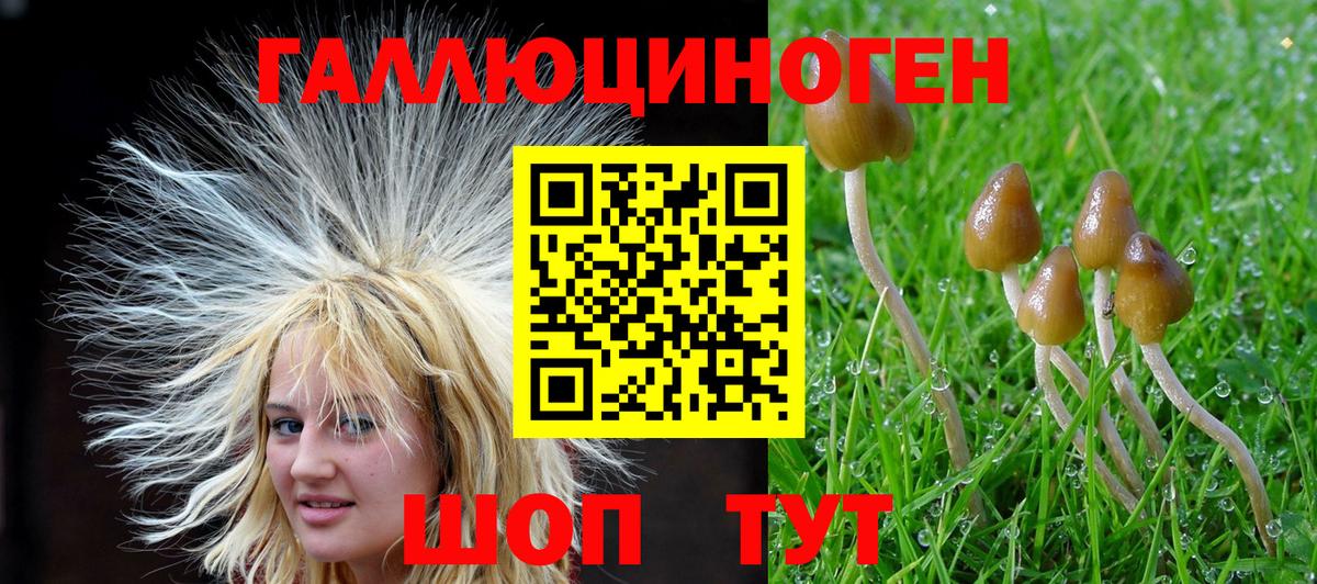 Галлюциногенные грибы Cubensis Белорецк