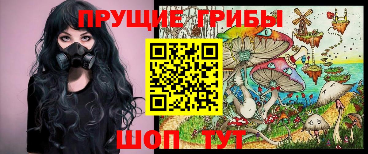 наркота  Белорецк  Псилоцибиновые грибы мицелий 