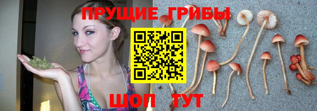 Псилоцибиновые грибы мухоморы Белорецк